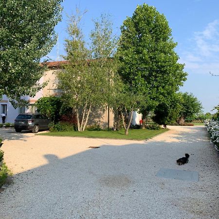 B&B Nonna Teresa Roverbella Zewnętrze zdjęcie